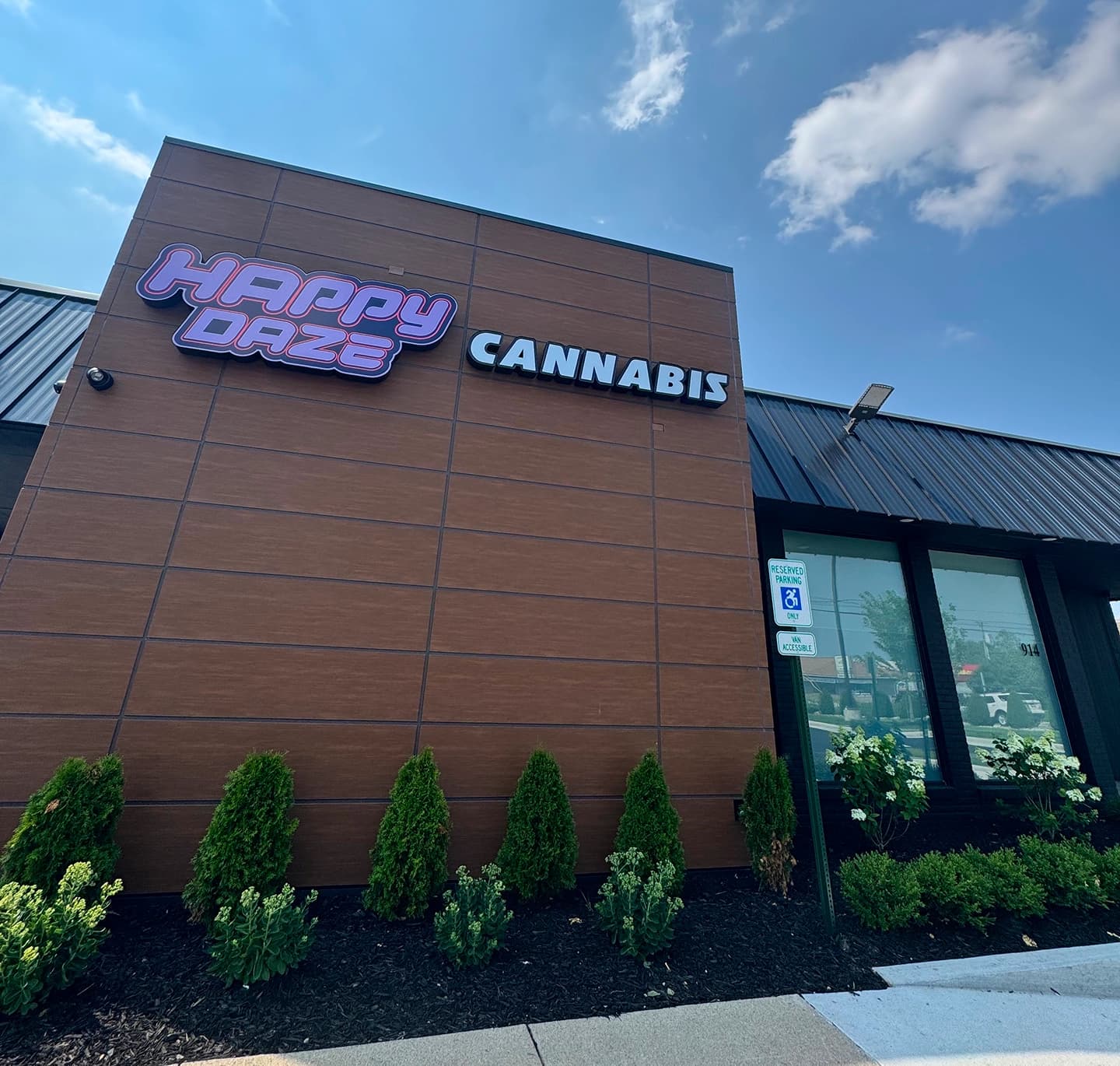 background of a music festival