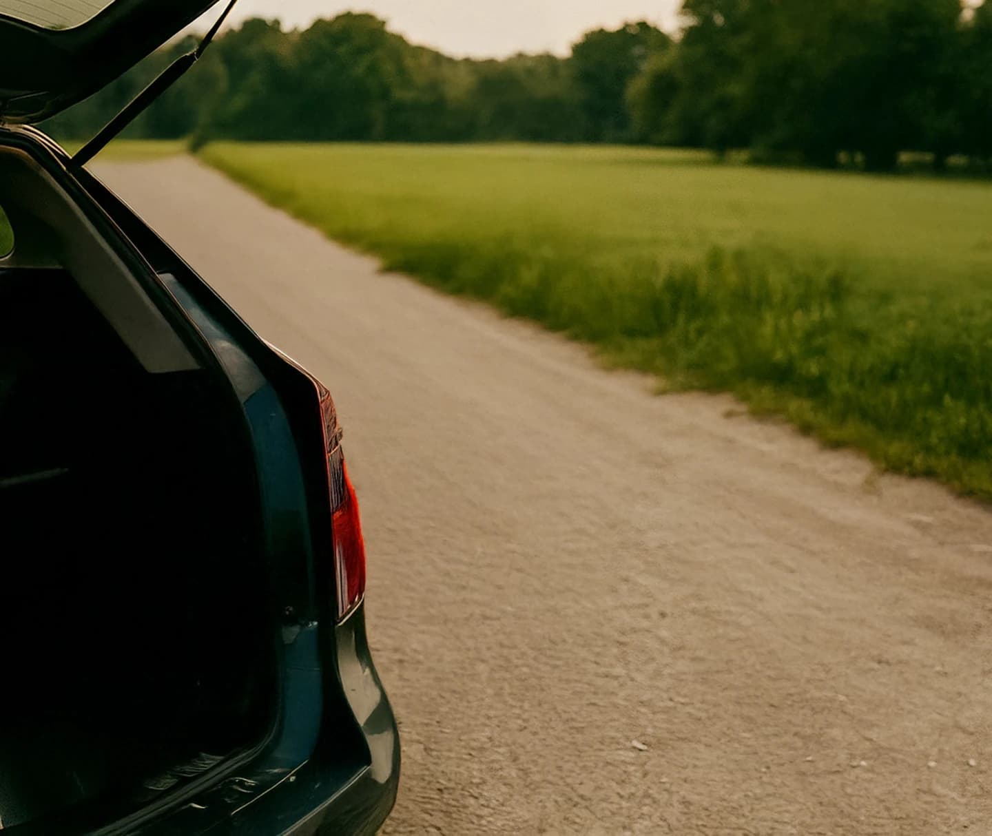 background of a music festival